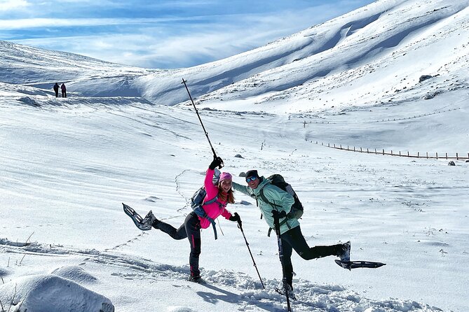 Experience Snowshoeing in Olympic Mountain Bjelašnica - Is $95.31 good value?