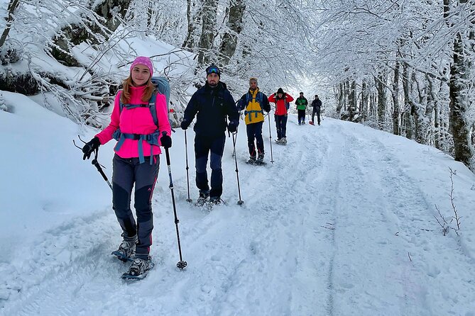Experience Snowshoeing in Olympic Mountain Bjelašnica - The 6-kilometer route and its steady climb