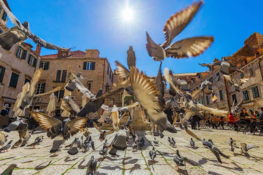 From Makarska : Dubrovnik Guided Tour & Free Time - Booking, cancellation, and final decision