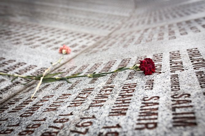 From Sarajevo: Srebrenica Genocide Memorial Study Tour - The drive through eastern Bosnia