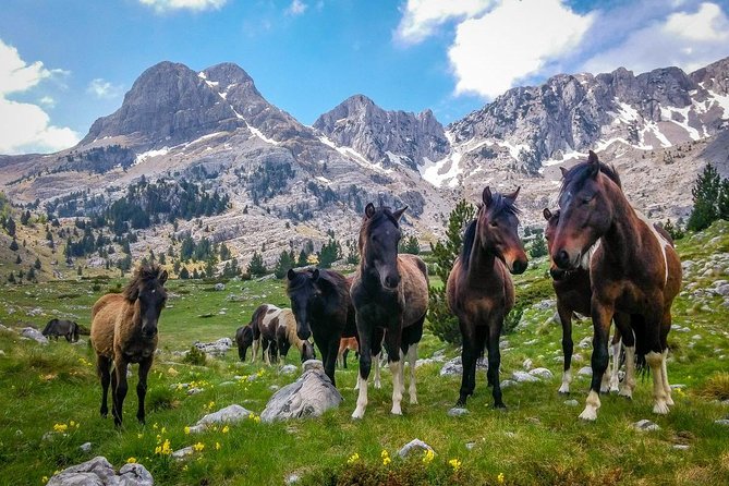 Hiking between Bosnia and Herzegovina - Five details that shape the experience