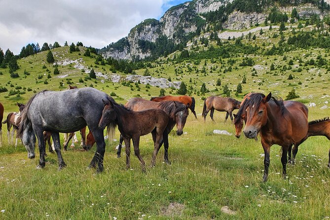 Hiking Prenj, Velika Kapa - What the guide adds to Prenj