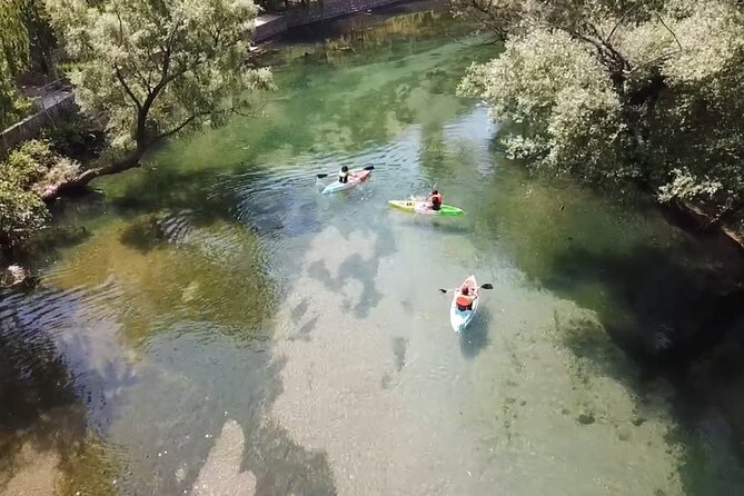 Safari kayak adventure w BBQ & Beer - The return paddle through willows and quiet bends
