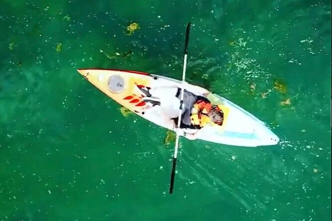 Safari kayak adventure w BBQ & Beer - A riverside BBQ at Cold River Camp