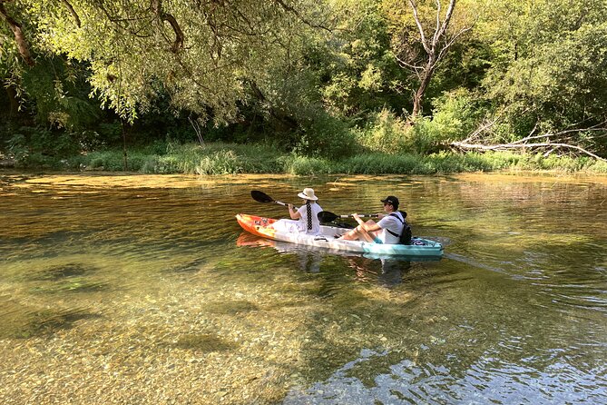 Safari kayak adventure w BBQ & Beer - Booking details worth knowing before you go