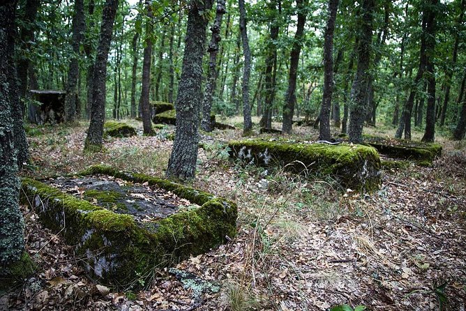 Sarajevo to/from Belgrade UNESCO Transfer Day Tour (Fees Incl.) - Dobrun Monastery and the road to Serbia